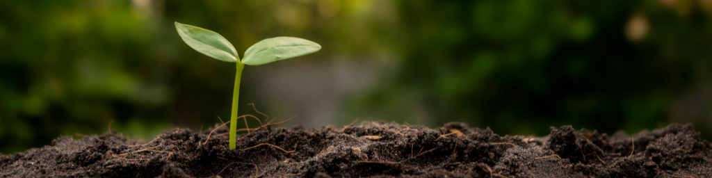 banner articolo avvicinarsi alla sostenibilità