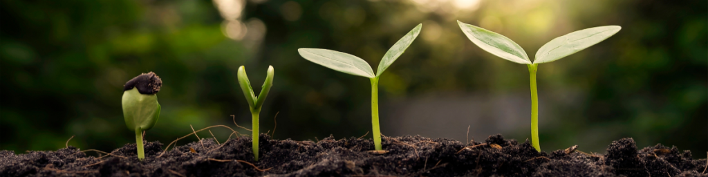 banner articolo avvicinarsi alla sostenibilità