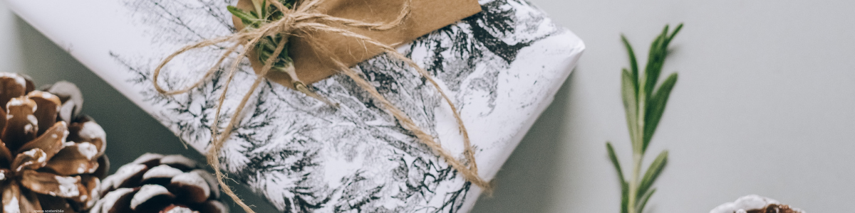 banner articolo idee regalo utili immagine con regali