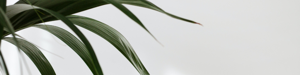banner articolo minimalismo per principianti