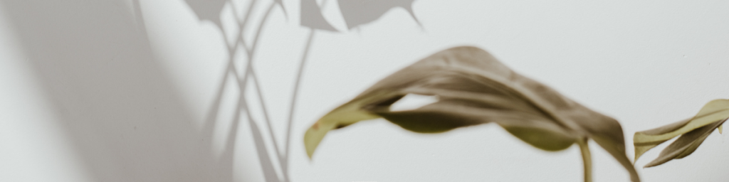 banner articolo minimalismo per principianti
