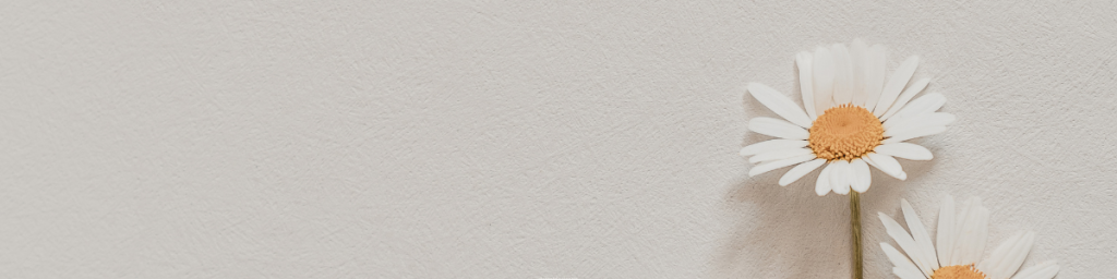 banner articolo minimalismo per principianti