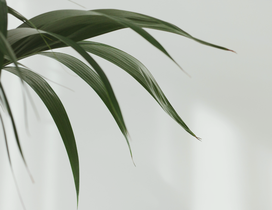 COPERTINA Minimalismo come stile di vita la guida per principianti
