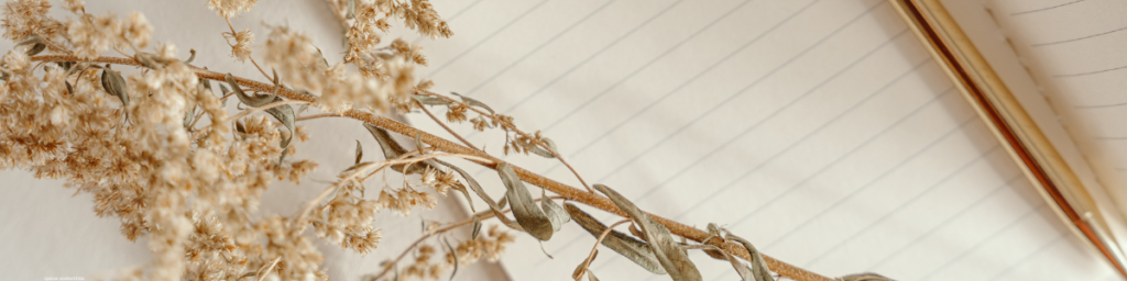 banner articolo fare journaling, immagine con journal penna