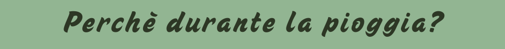 Copia di banner durantelapioggia chi sono