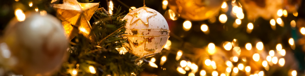 banner articolo albero di natale alternativo