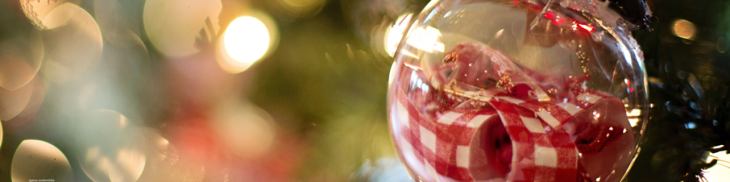banner articolo albero di natale alternativo