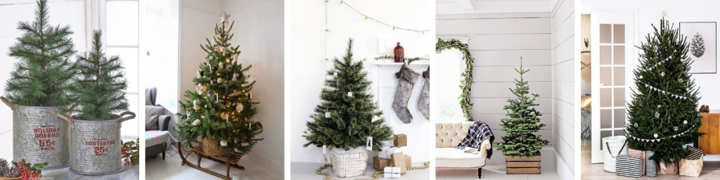banner articolo albero di natale alternativo