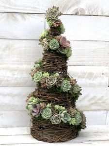 albero di Natale alternativo - piante grasse 2