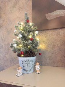 albero di Natale alternativo - vaso 2