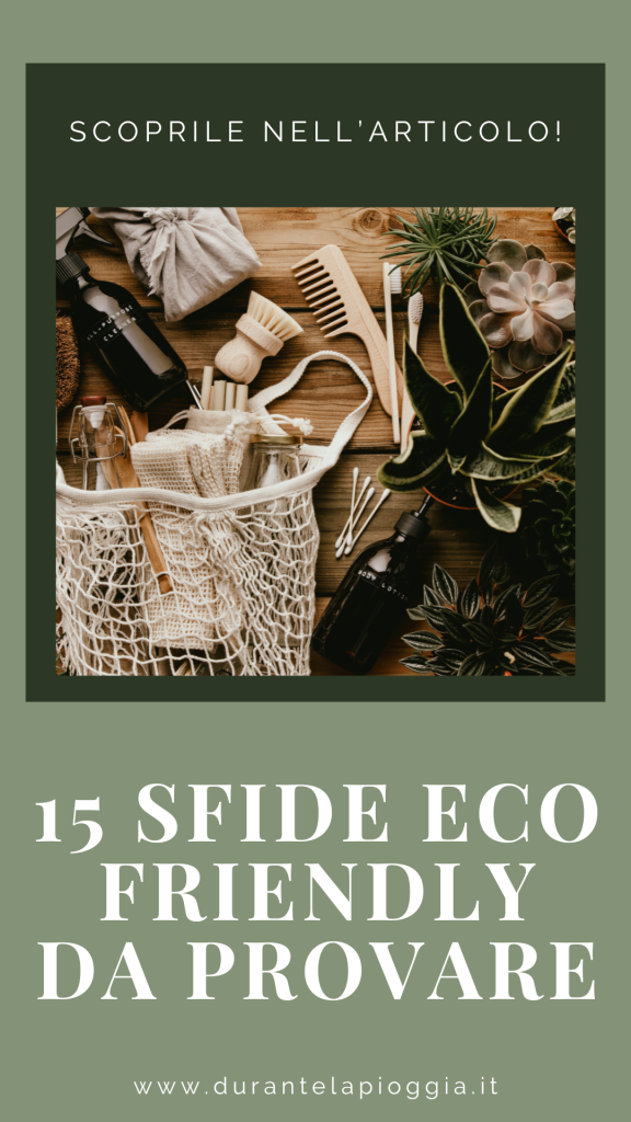 pin articolo sfide eco friendly