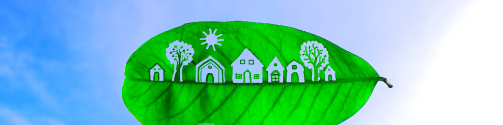 banner articolo sfide eco friendly
