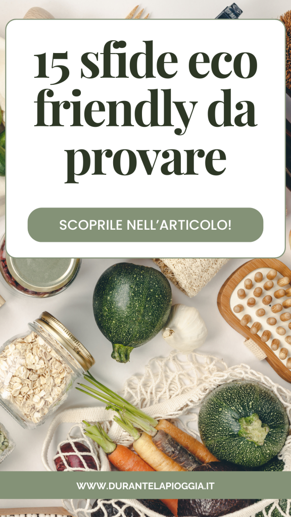 pin articolo sfide eco friendly