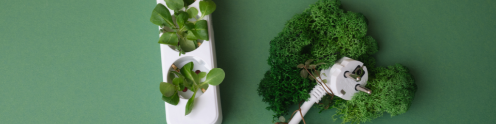 banner articolo spesa sostenibile online