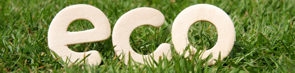 banner articolo sfide eco friendly