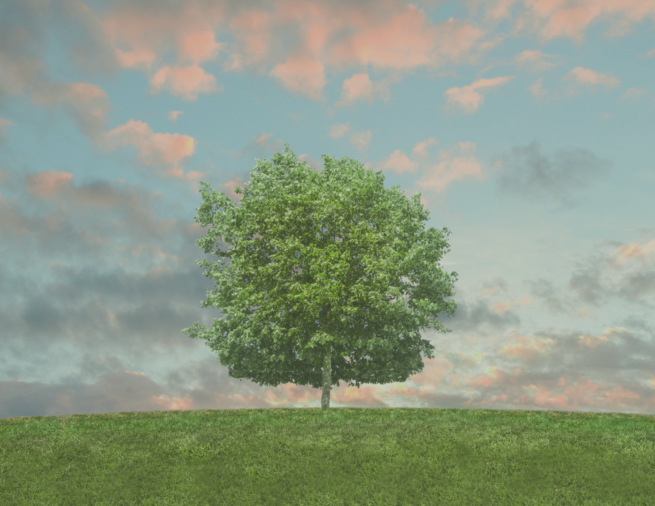 COPERTINA sfide eco friendly
