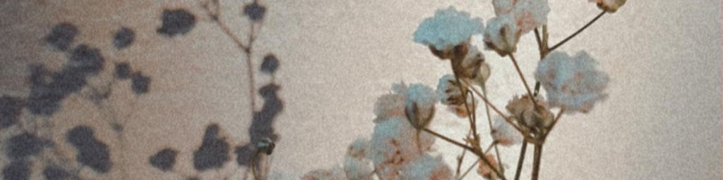 banner articolo esercizi di crescita personale