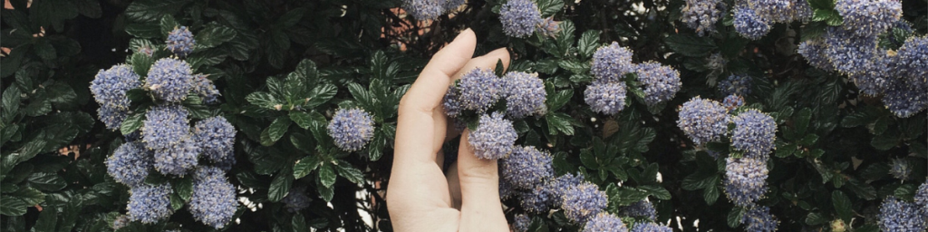 banner articolo esercizi di crescita personale