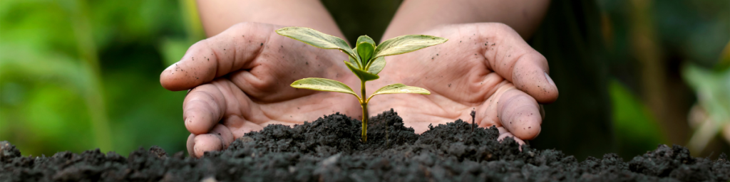 banner articolo esercizi di crescita personale
