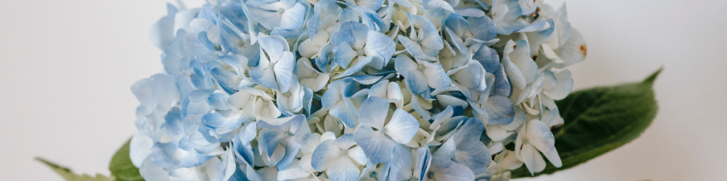 banner articolo esercizi di crescita personale