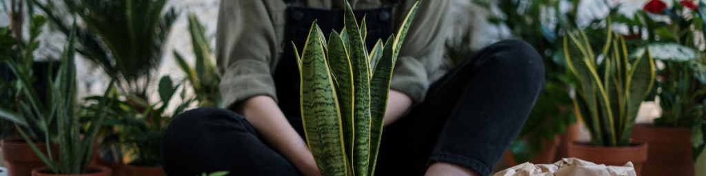 banner articolo esercizi di crescita personale