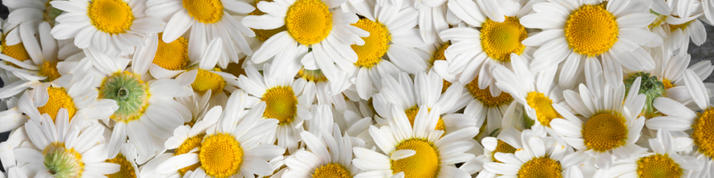 banner articolo Migliorare la qualità della vita