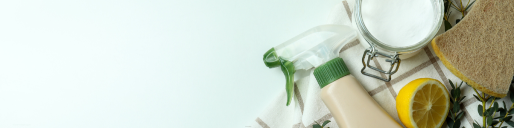 banner articolo prodotti plastic free per l’igiene della casa