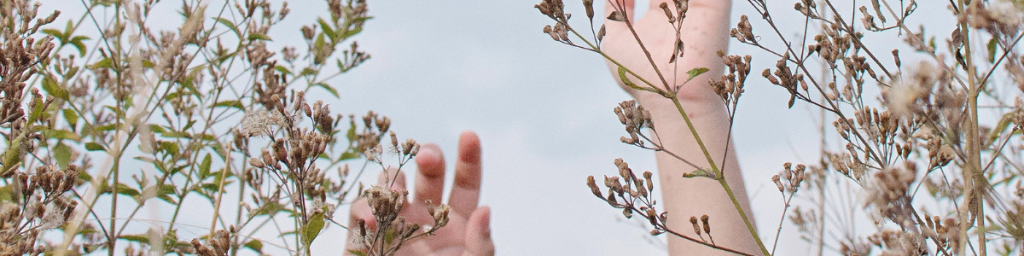 3 banner articolo abitudini giornaliere per migliorare la vita