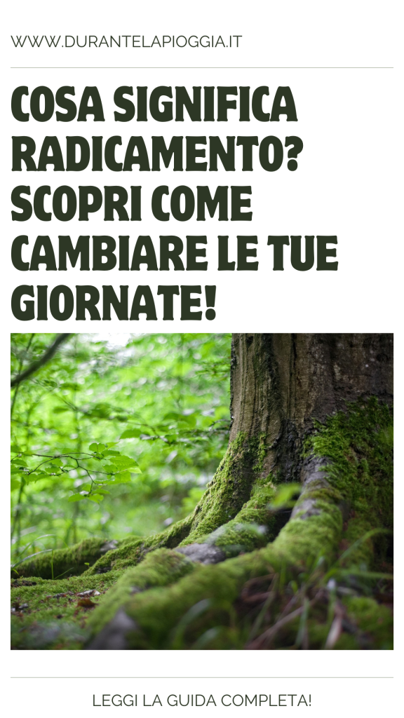 PIN COSA SIGNIFICA RADICAMENTO