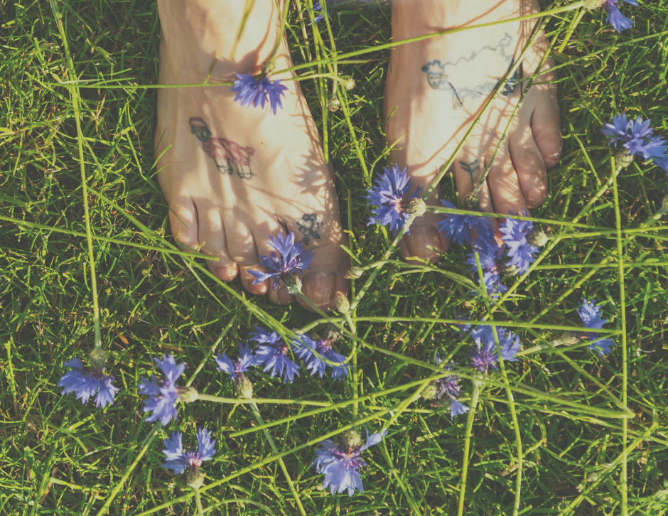Immagine di piedi in un prato verde con fiori viola. COPERTINA cosa significa radicamento