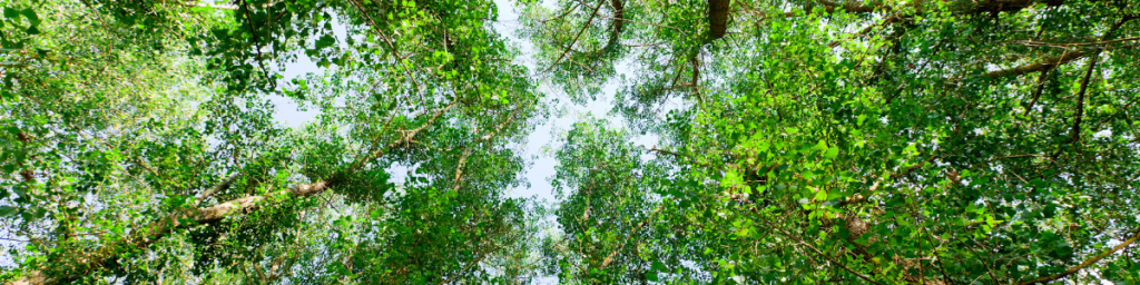 4 banner articolo abitudini tossiche che ti impediscono di vivere al meglio