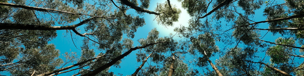 4 banner articolo abitudini tossiche che ti impediscono di vivere al meglio