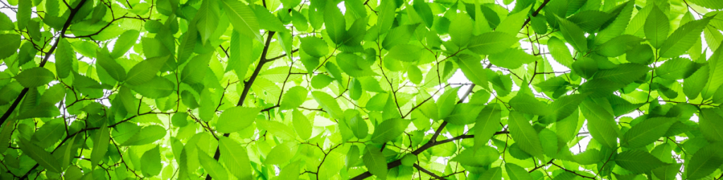4 banner articolo abitudini tossiche che ti impediscono di vivere al meglio