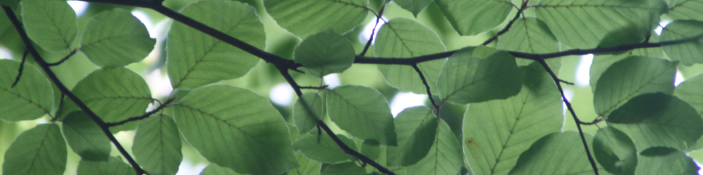 4 banner articolo abitudini tossiche che ti impediscono di vivere al meglio